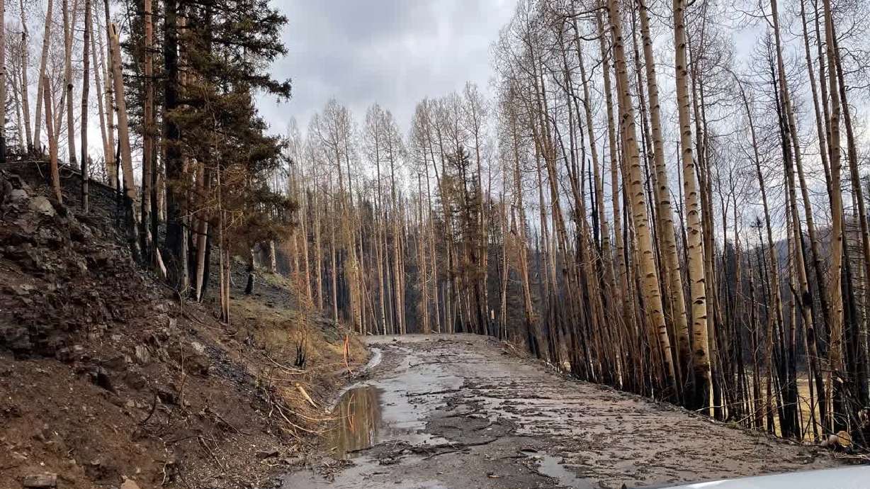 A mud-soaked road within the Cottonwood Fire in Beaver County after rains fell over the fire on Tuesday. A flood watch is in place for most of southern Utah for Thursday, and similar alerts are possible as monsoonal moisture continues falling in Utah.