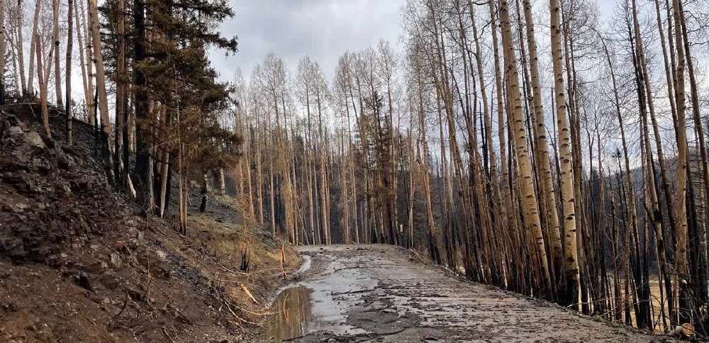 Weather service issues flood watch, cautions communities near recent wildfires