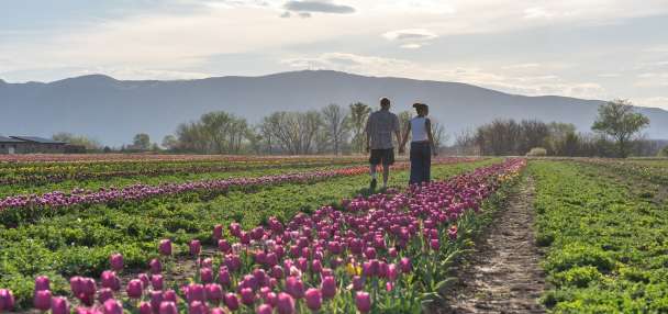 How agritourism is drawing thousands to Utah farms