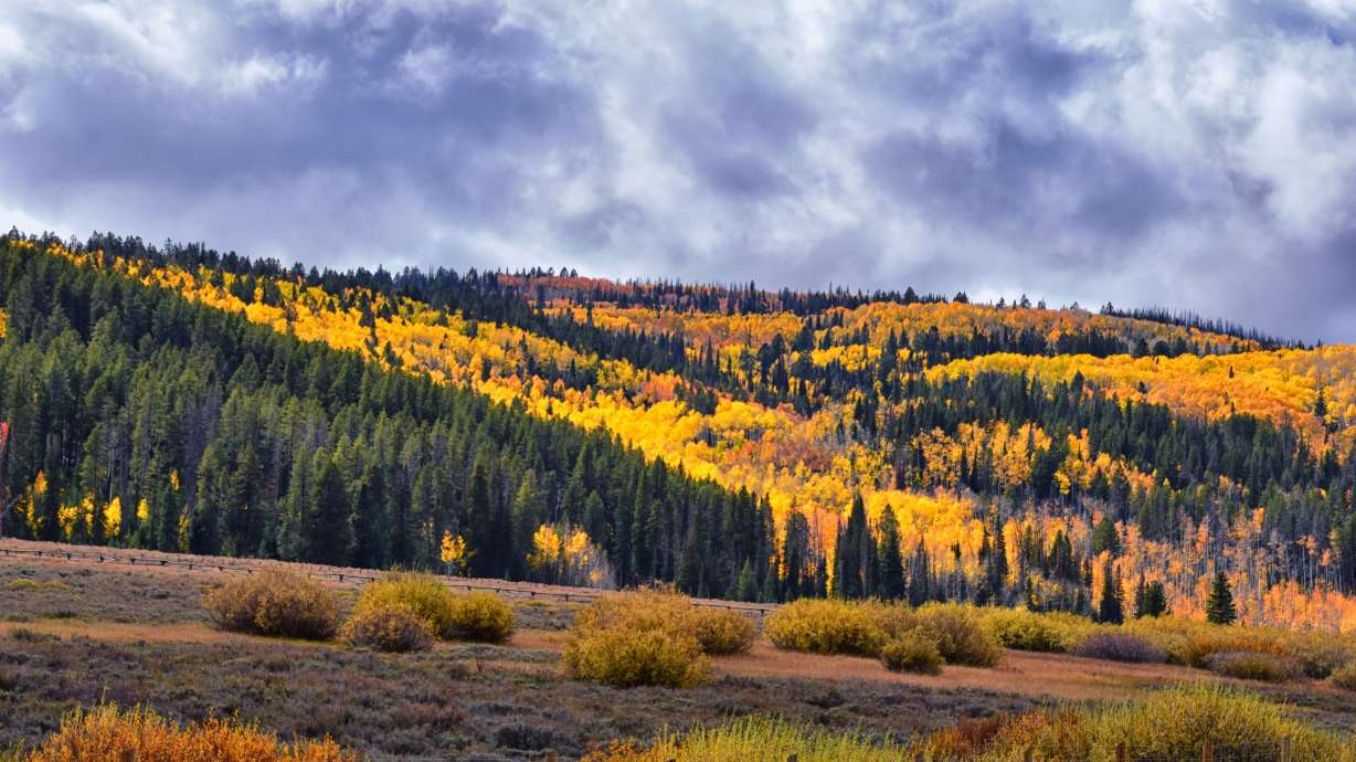 Fall leaves are visible at Daniels Summit by Strawberry Reservoir along Highway 40. The Wasatch County Council has been fighting a 426-acre mine expansion in Daniels Canyon, just south of the town of Daniel.