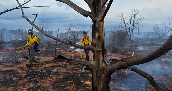 Zion National Park part of evacuation warning due to nearby fire