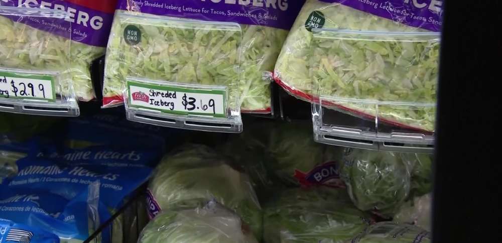 Utah reports 48 cyclospora cases, all but 5 could be tied to travel