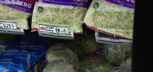 Utah reports 48 cyclospora cases, all but 5 could be tied to travel