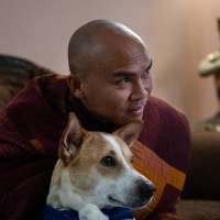 How a 2,300-mile Walk for Peace thrust a Texas monk and his rescue dog into the spotlight