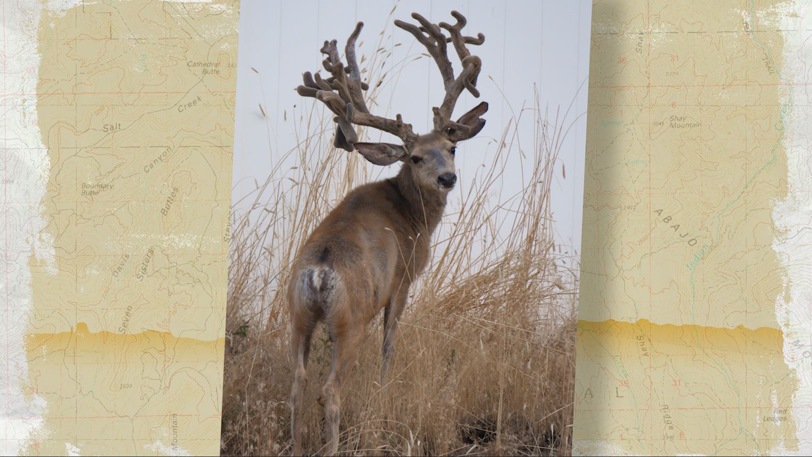 KSL Outdoors Snapshot of the Week: July 18, 2026