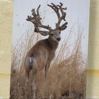 KSL Outdoors Snapshot of the Week: July 18, 2026