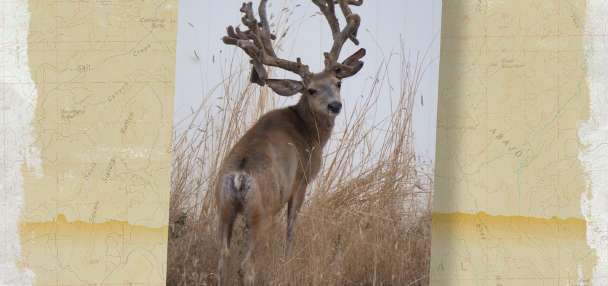 KSL Outdoors Snapshot of the Week: July 18, 2026