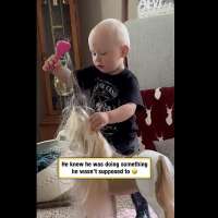 Have You Seen This? Beware big sister's wrath