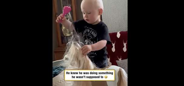 Have You Seen This? Beware big sister's wrath