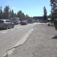 Photographer provides an update on the tourist attacked by a bison in Yellowstone