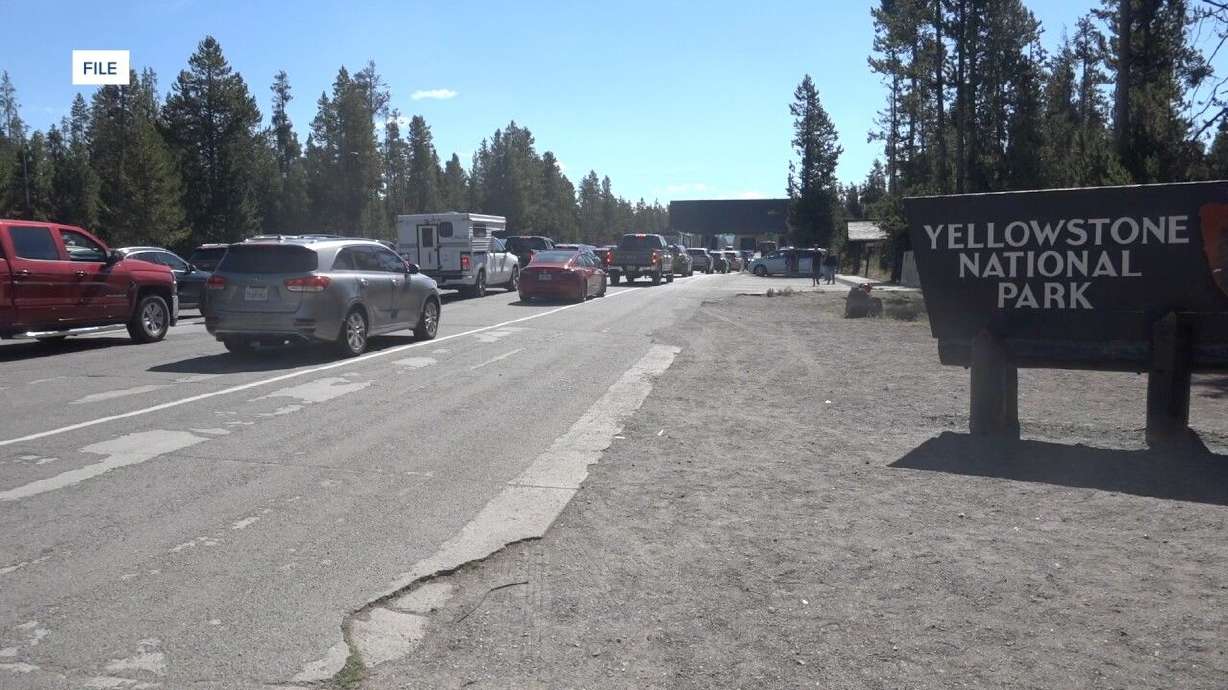 Professional photographer, Mike MacLeod, visited Carl McDonald in the hospital. The photographer who captured the moment when a tourist was attacked by a bison at Yellowstone National Park earlier this month has given an update on the man's condition.