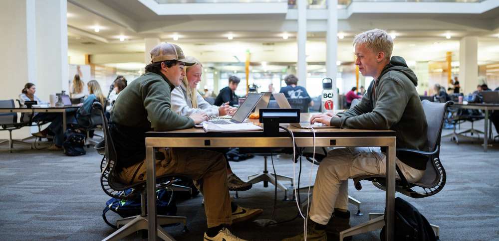 Survey: Gap exists between students, educators when it comes to using, understanding AI