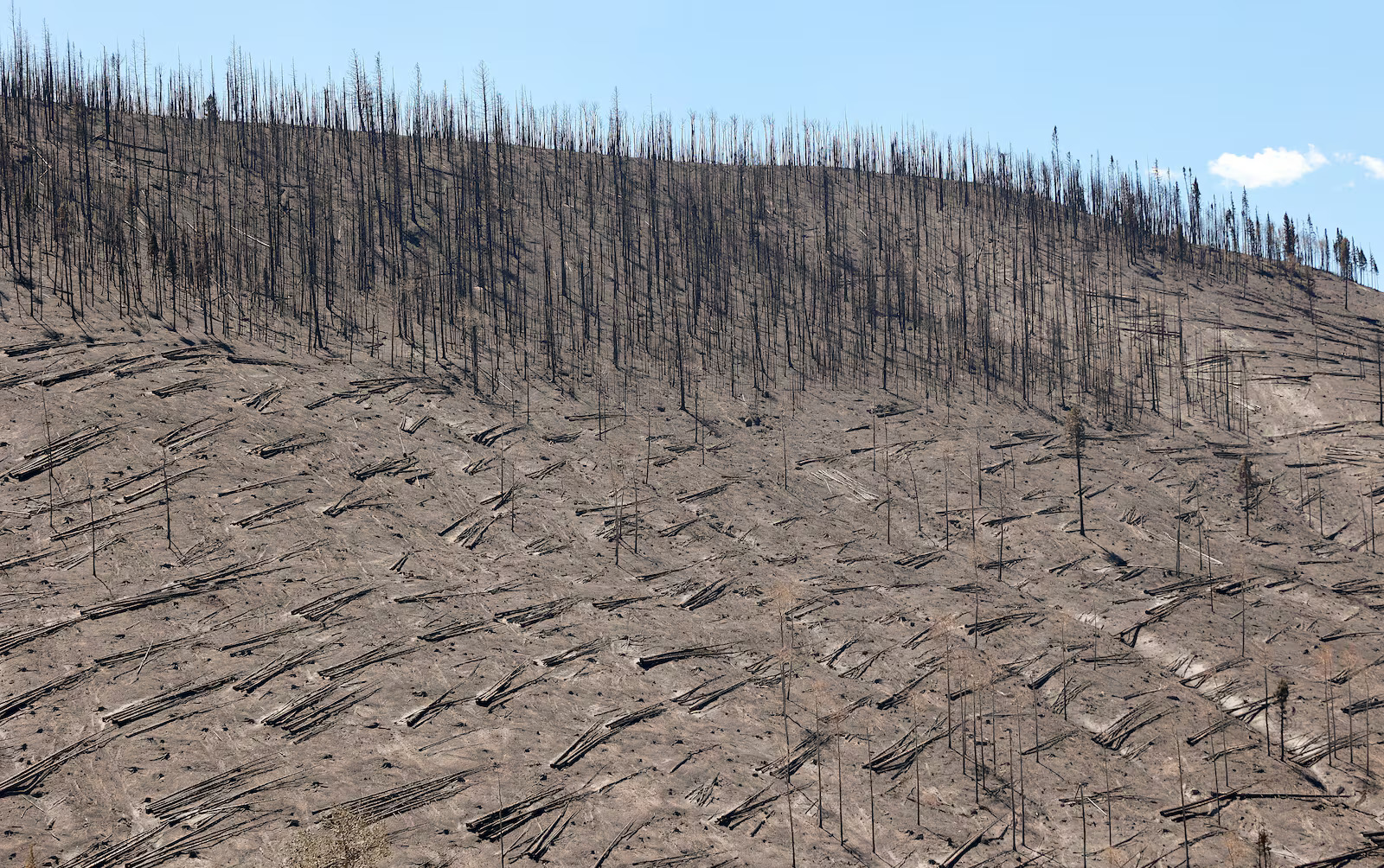 The burn scar from the Cottonwood Fire can be seen from Highway 153 in Beaver County on July 9.
