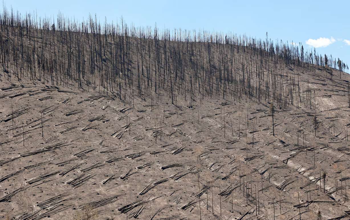 The burn scar from the Cottonwood Fire can be seen from Highway 153 in Beaver County on July 9.