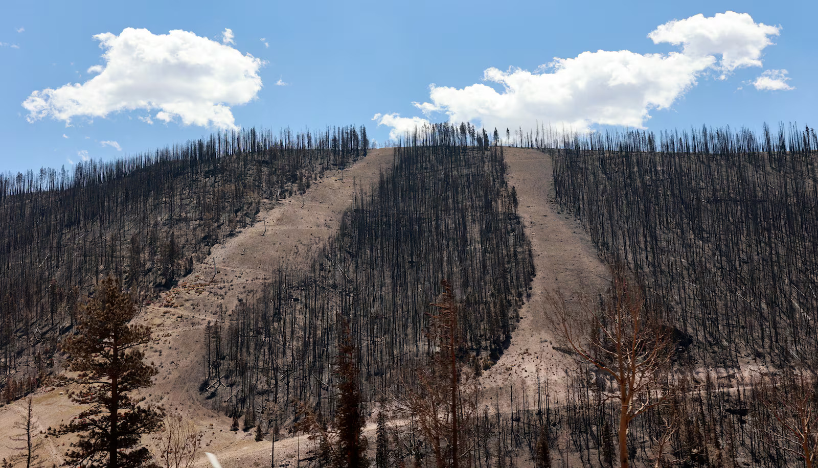 The burn scar from the Cottonwood Fire is pictured at Eagle Point Ski Resort in Beaver County on July 9.