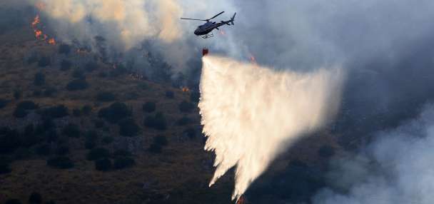 How arsonists used cats to spread Italy's wildfires