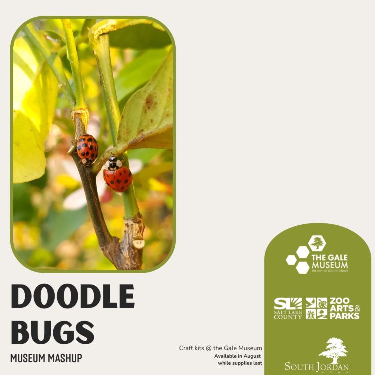 Museum Mashup: Doodle Bugs