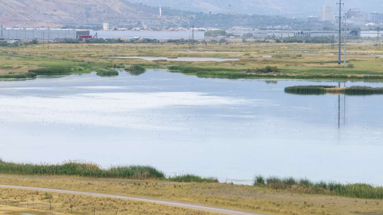 Industrial properties located within Salt Lake City's Northwest Quadrant loom over the Great Salt Lake's wetlands on July 15. Salt Lake City is considering an ordinance that would limit daily water consumption among many nonresidential properties.