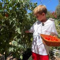 9-year-old trades screen time for gardening, builds successful business