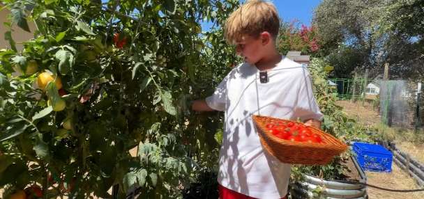 9-year-old trades screen time for gardening, builds successful business