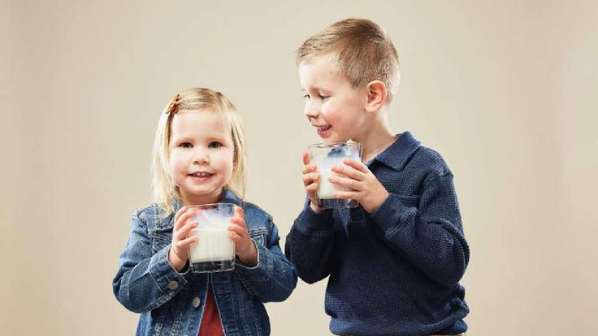 From cow to cup: The journey behind your glass of milk