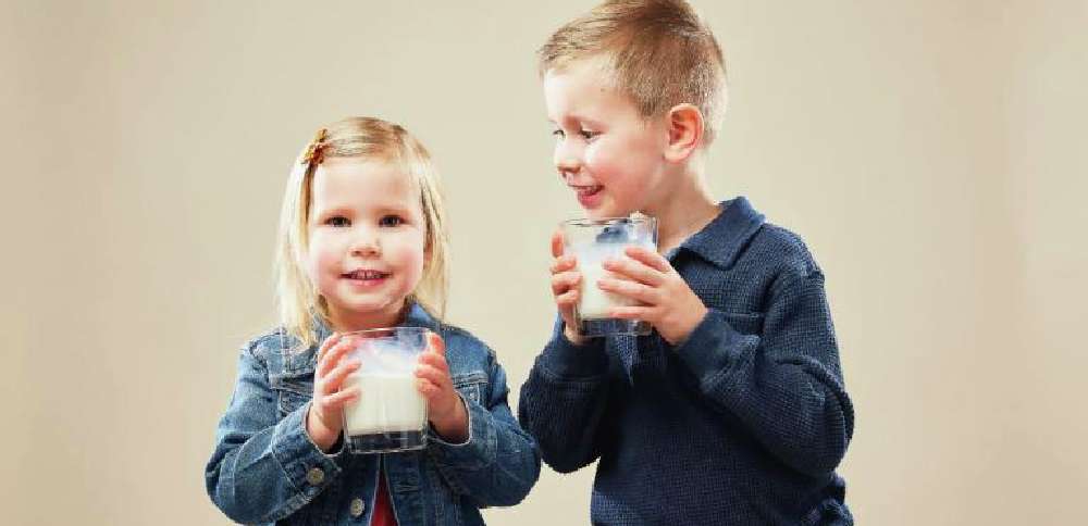 From cow to cup: The journey behind your glass of milk