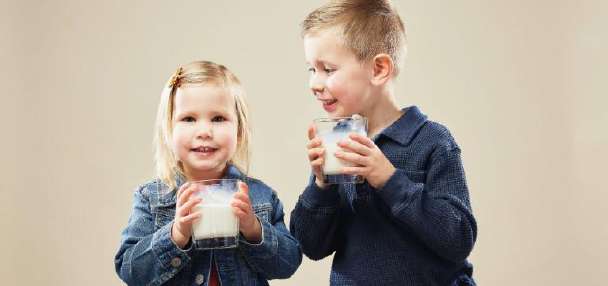 From cow to cup: The journey behind your glass of milk