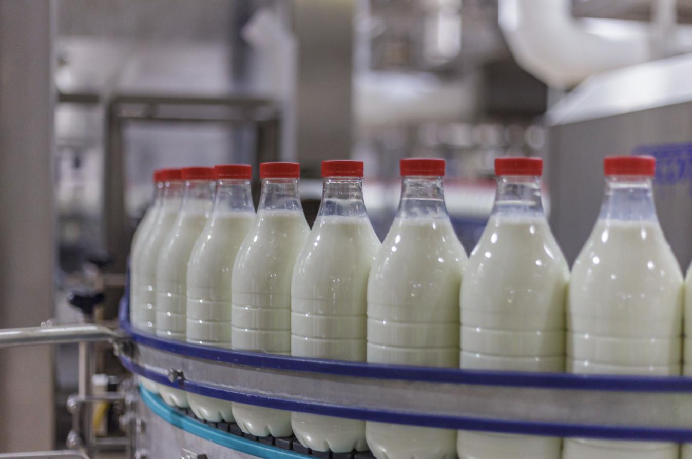 From cow to cup: The journey behind your glass of milk