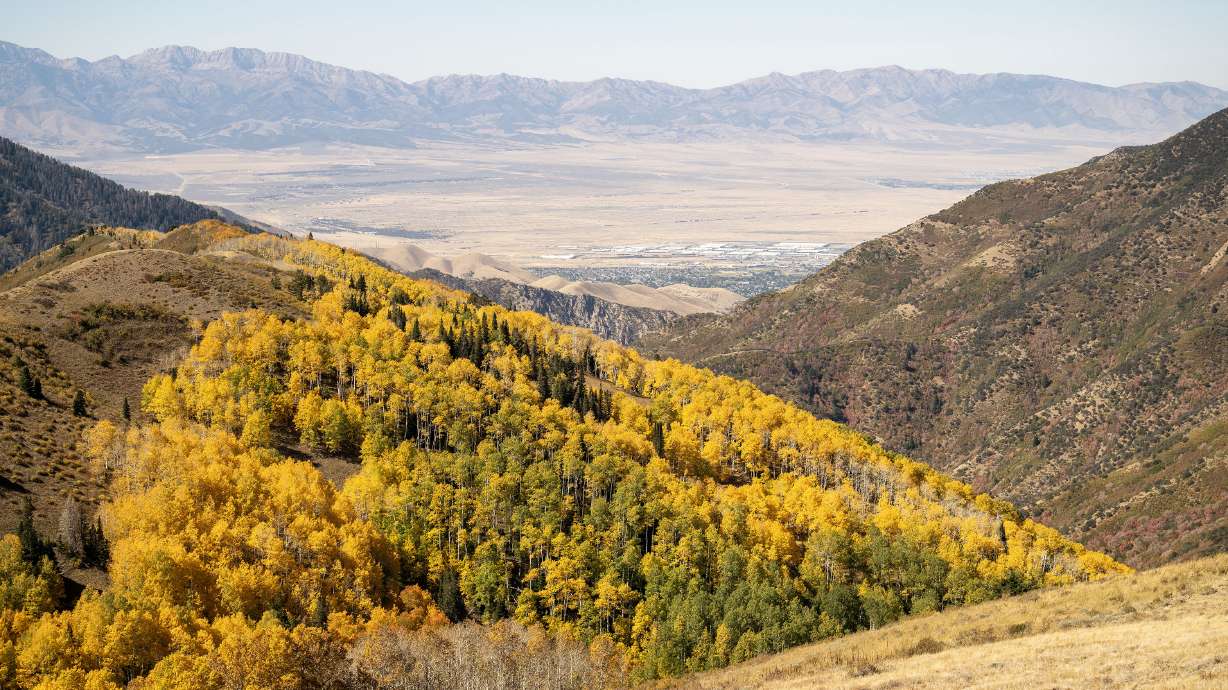Fall colors are pictured at the top of Butterfield Canyon near Herriman on Sept. 30, 2024. A section of the canyon road in Salt Lake County is now closed after a washout, cutting off a link with Tooele County.