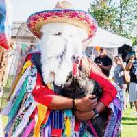 Oaxaca, Pacific Islander community to be focus of separate weekend festivals