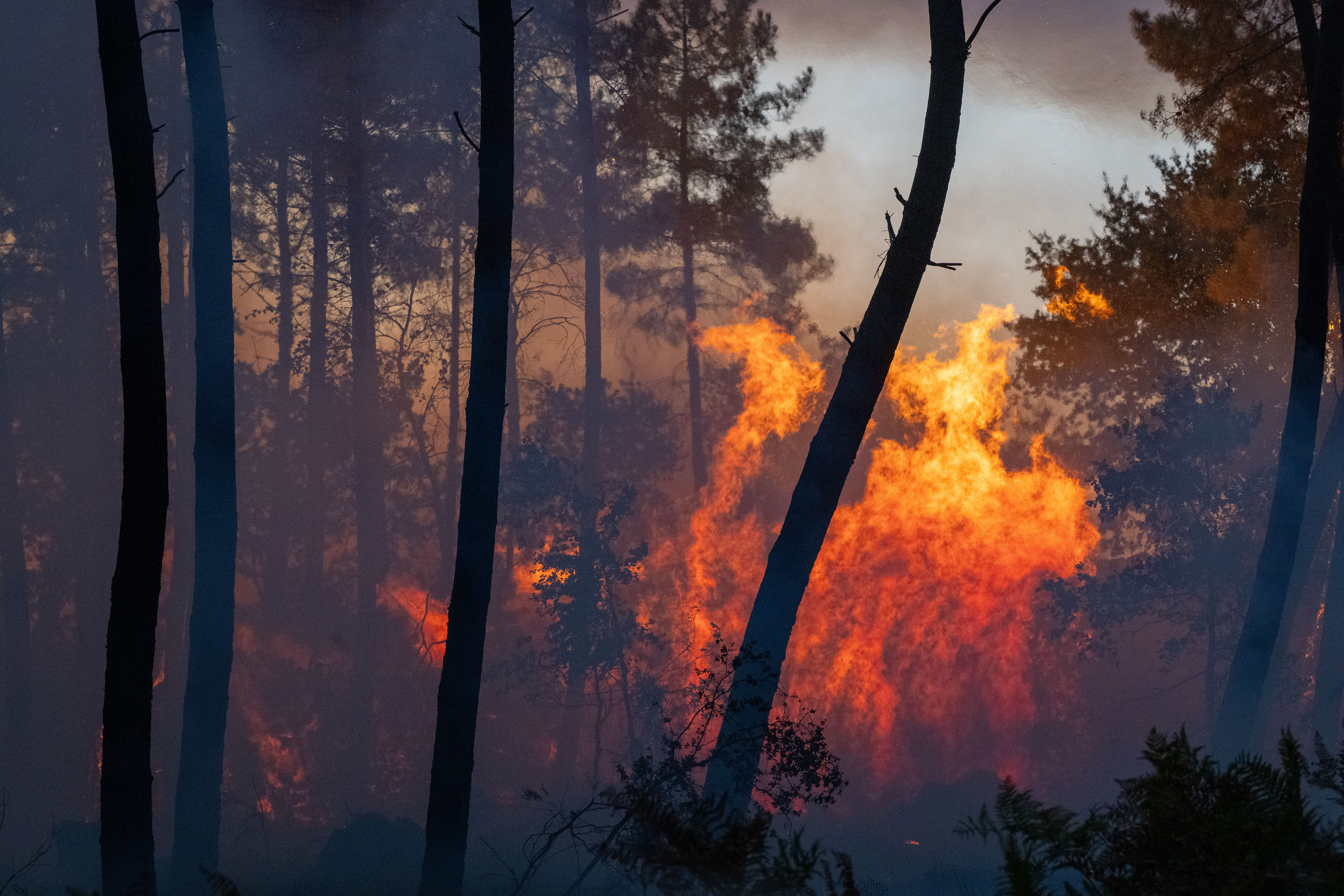 Wildfires advance near the Le Proge region, western France, on Thursday.