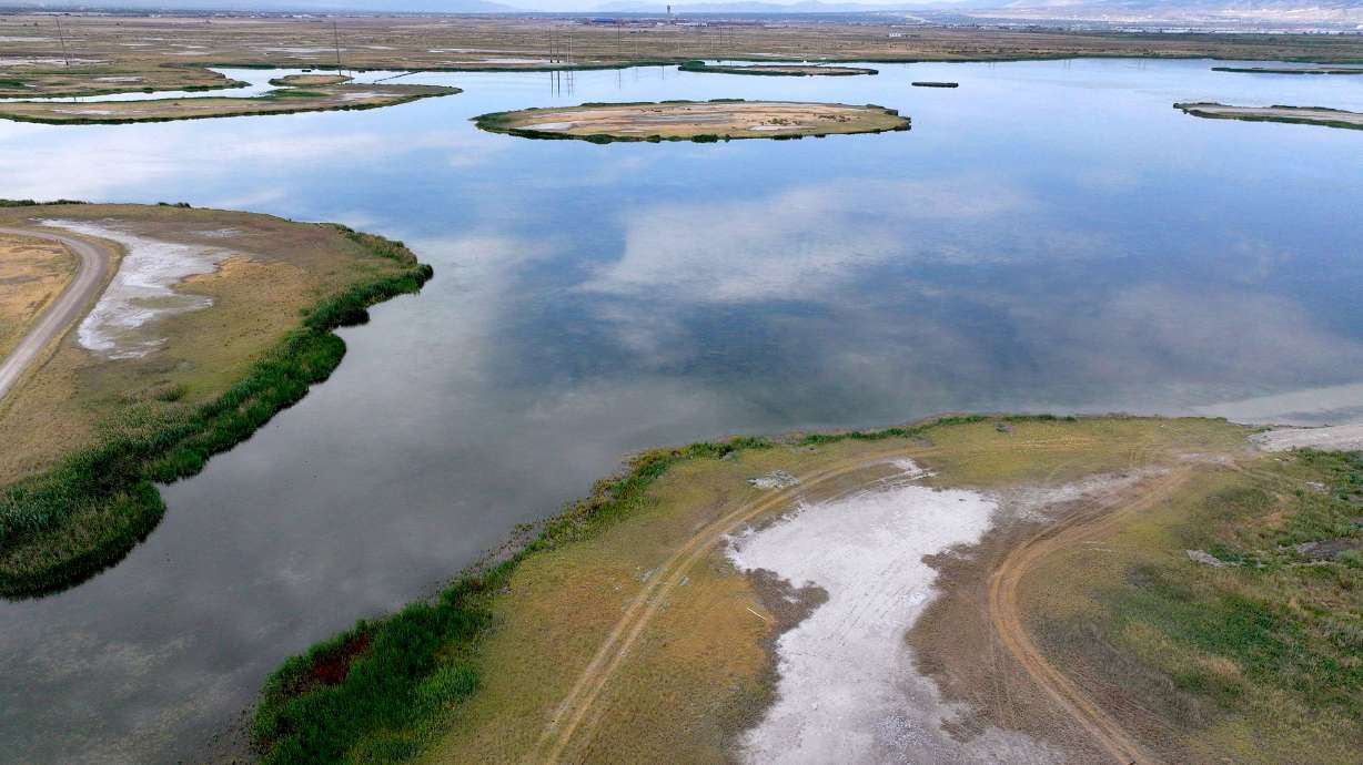 Wetlands of the Great Salt Lake in Salt Lake City on July 15. Conservation and advocacy groups are speaking out against a proposed wastewater discharge permit they say would threaten the Great Salt Lake.