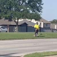 Have You Seen This? Landscaper invents new way to edge the lawn