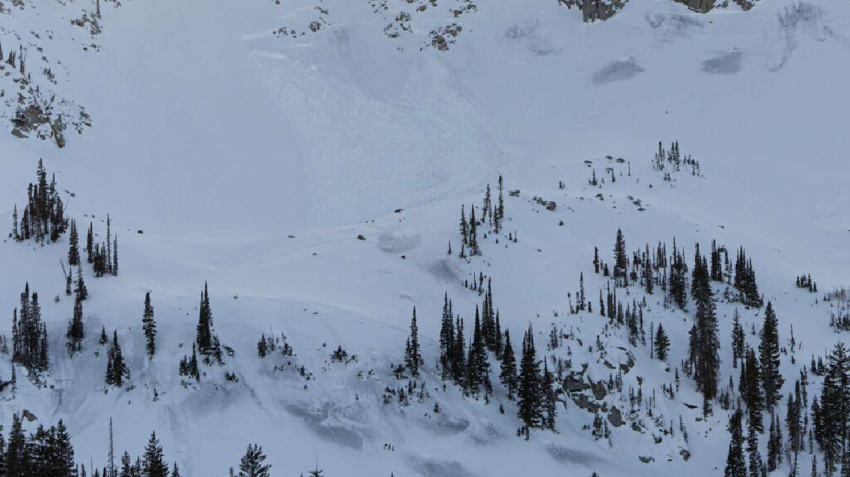 The slide path of an avalanche triggered during mitigation work is seen at Brighton Ski Resort in Brighton on Feb. 22. The Utah Avalanche Center has a new executive director with the goal of reducing accidents and fatalities in Utah's backcountry.