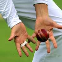 Amateur cricket match goes viral after cheating allegation