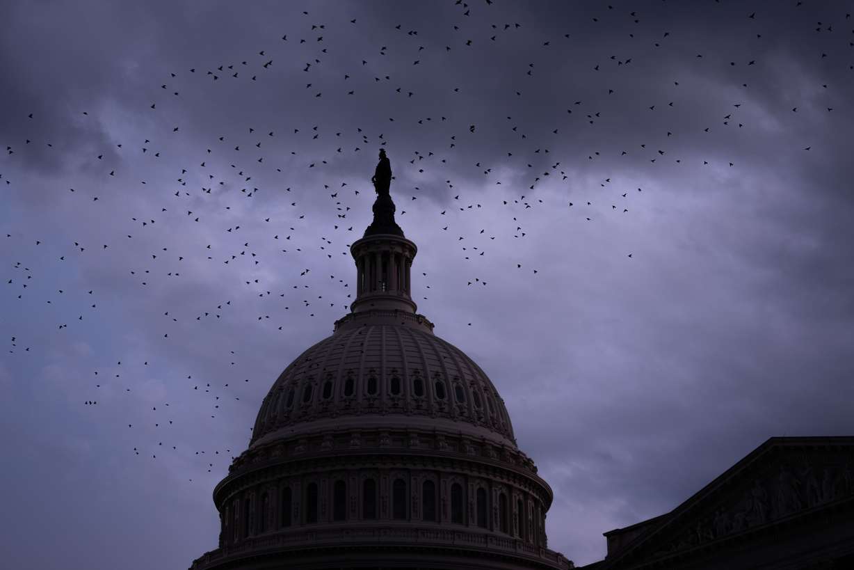 Birds fly near the U.S. Capitol, July 28, in Washington.
