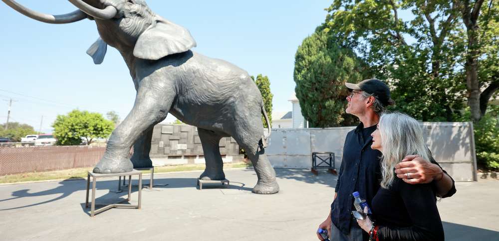 The touching love story behind Yumi, a 22-foot bronze elephant