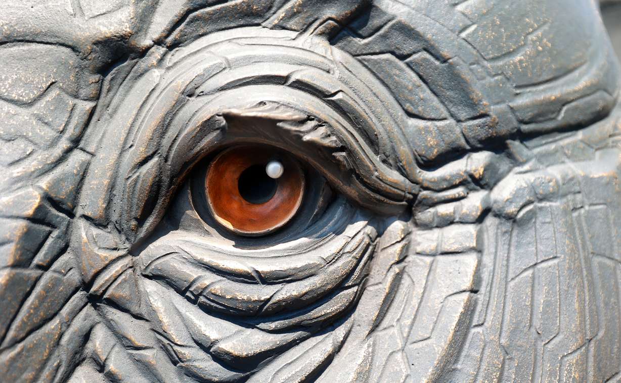 An eye of Yumi, a roughly 18,000-pound bronze elephant by co-creators Matthew Gray Palmer and Ann Holbrook, is pictured at Metal Art Foundry in Lehi on Thursday.
