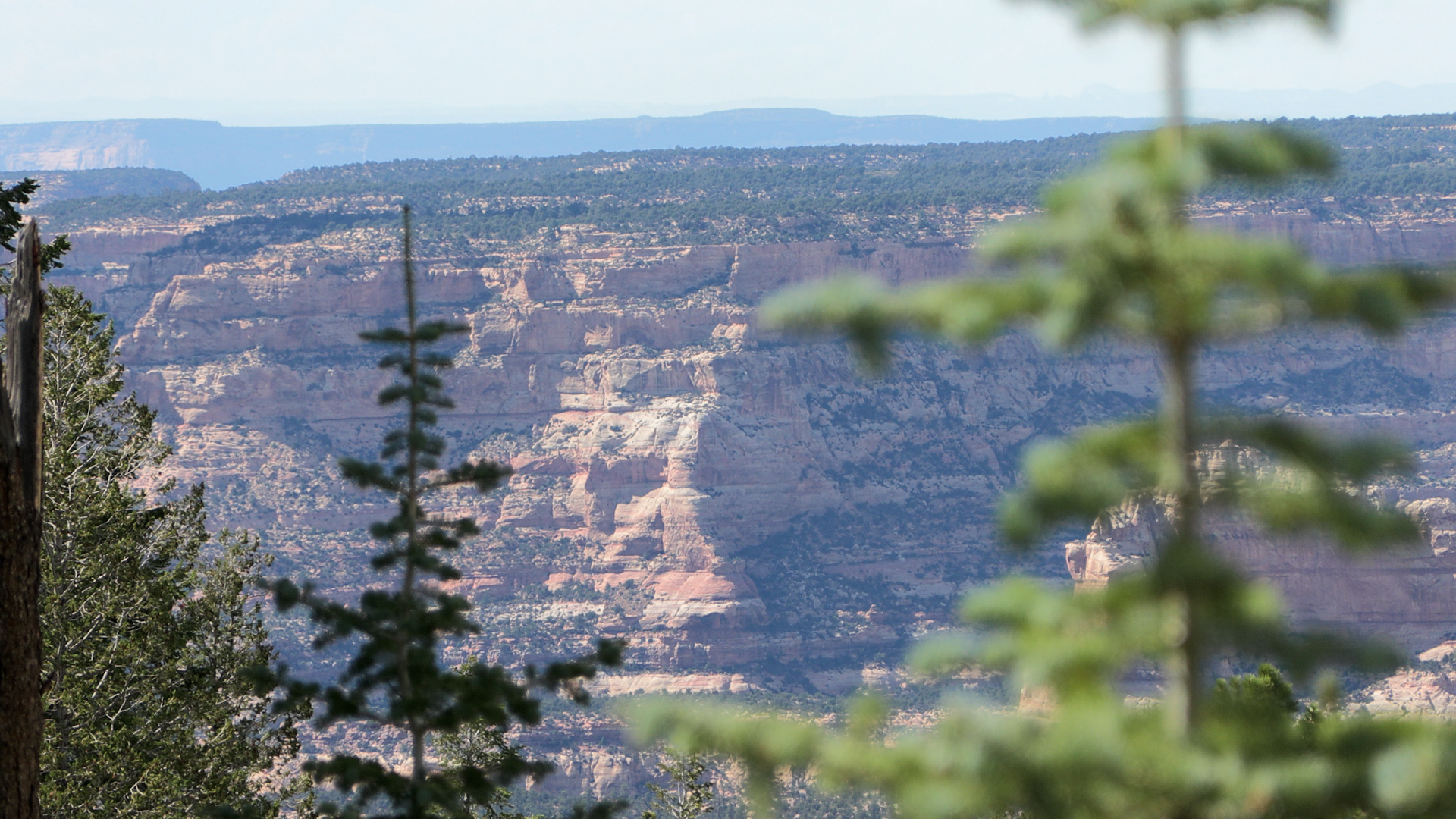 2 Bears Ears guides share differing perspectives on preservation of the surrounding lands