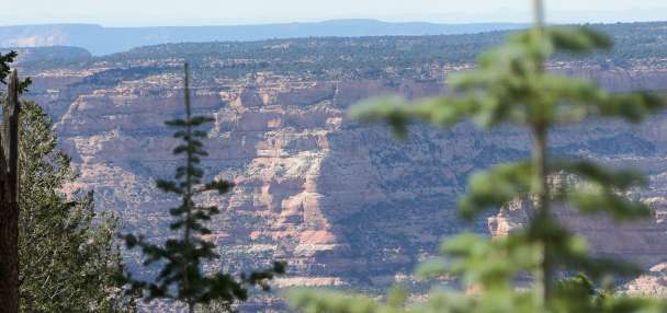 2 Bears Ears guides share differing perspectives on preservation of the surrounding lands