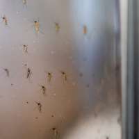 St. George man hospitalized with rare, severe form of West Nile virus, wife says