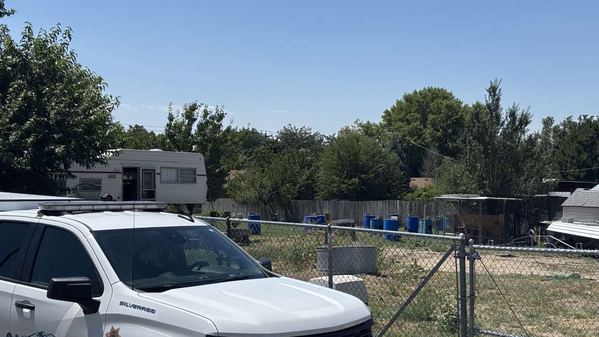 A backyard in Layton on Friday. Layton police officers said the location was being used to raise roosters in preparation for rooster fighting.