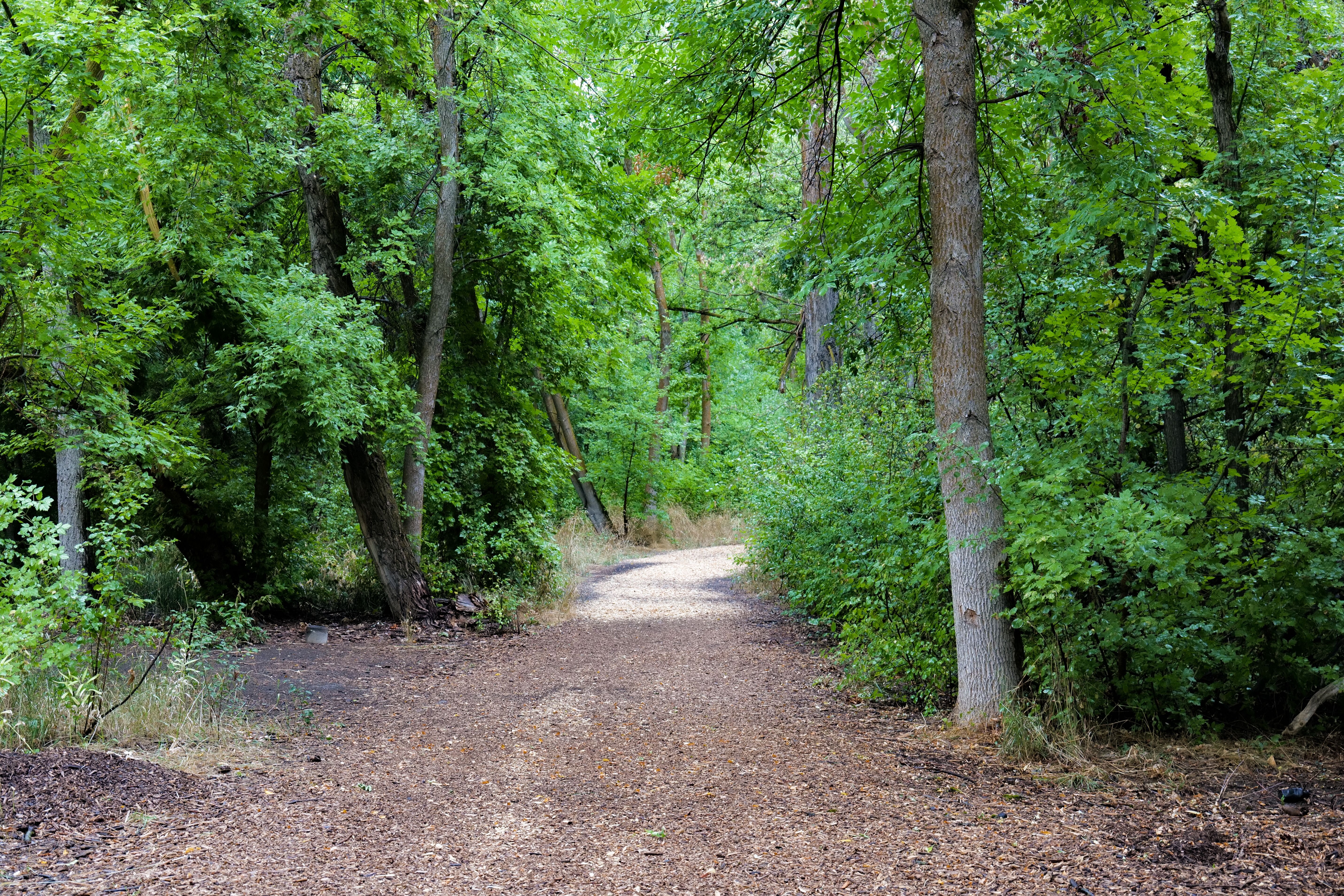 Explore '801 Day' at these 8+1 outdoor gems