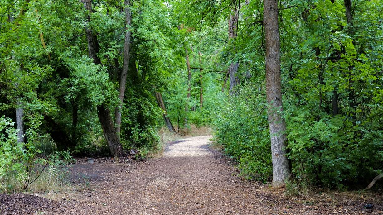 An undated photo of the Gailey Trail in Fruit Heights. It's one of the gems worth exploring during "801 Day" on Saturday.