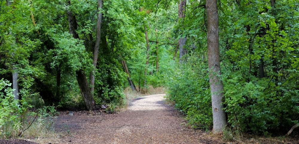 Explore '801 Day' at these 8+1 outdoor gems