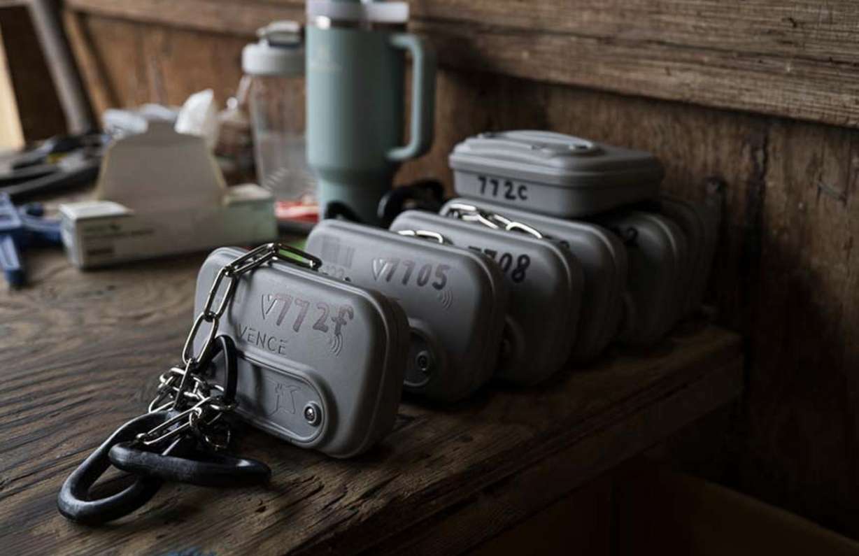 These collars help keep cattle within a certain geographic boundary and provide a shock if they cross the line.