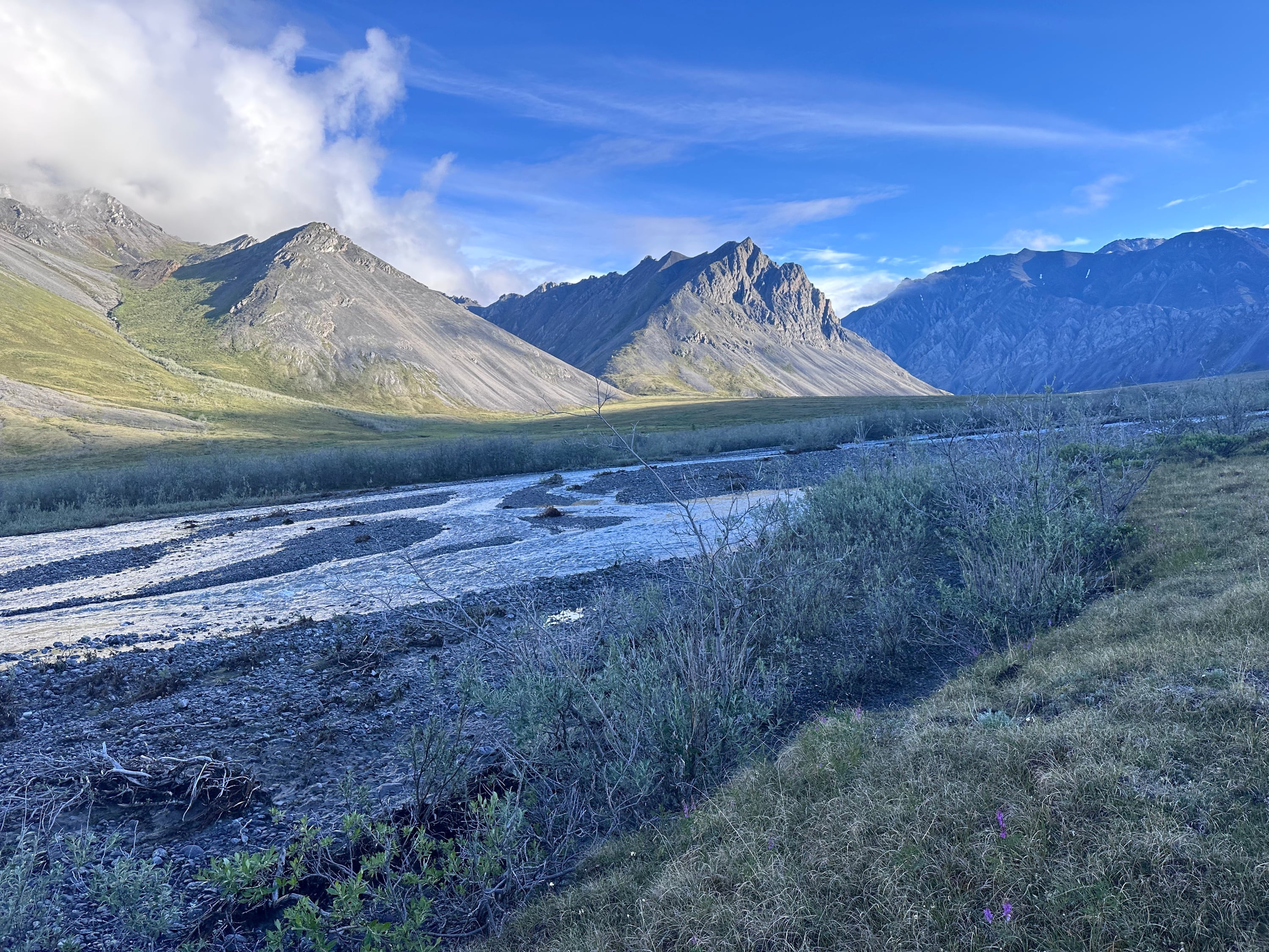 The sun finally comes out on the Arctic National Wildlife Refuge in Alaska on July 1. In his National Book Award-winning “Arctic Dreams,” Barry Lopez wrote about, “the serene arctic light that came down over the land like breath, like breathing.”