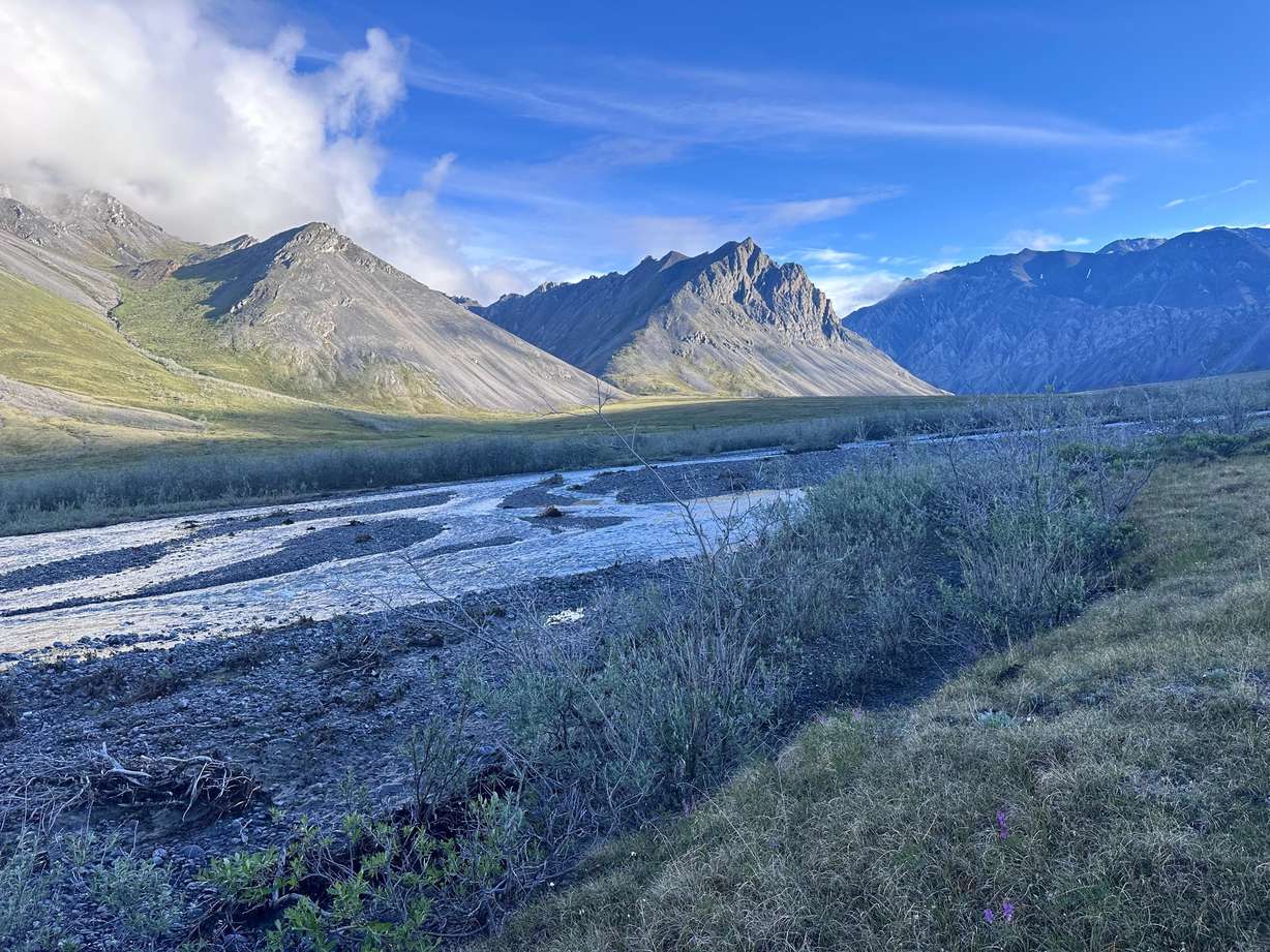 The sun finally comes out on the Arctic National Wildlife Refuge in Alaska on July 1. In his National Book Award-winning “Arctic Dreams,” Barry Lopez wrote about, “the serene arctic light that came down over the land like breath, like breathing.”