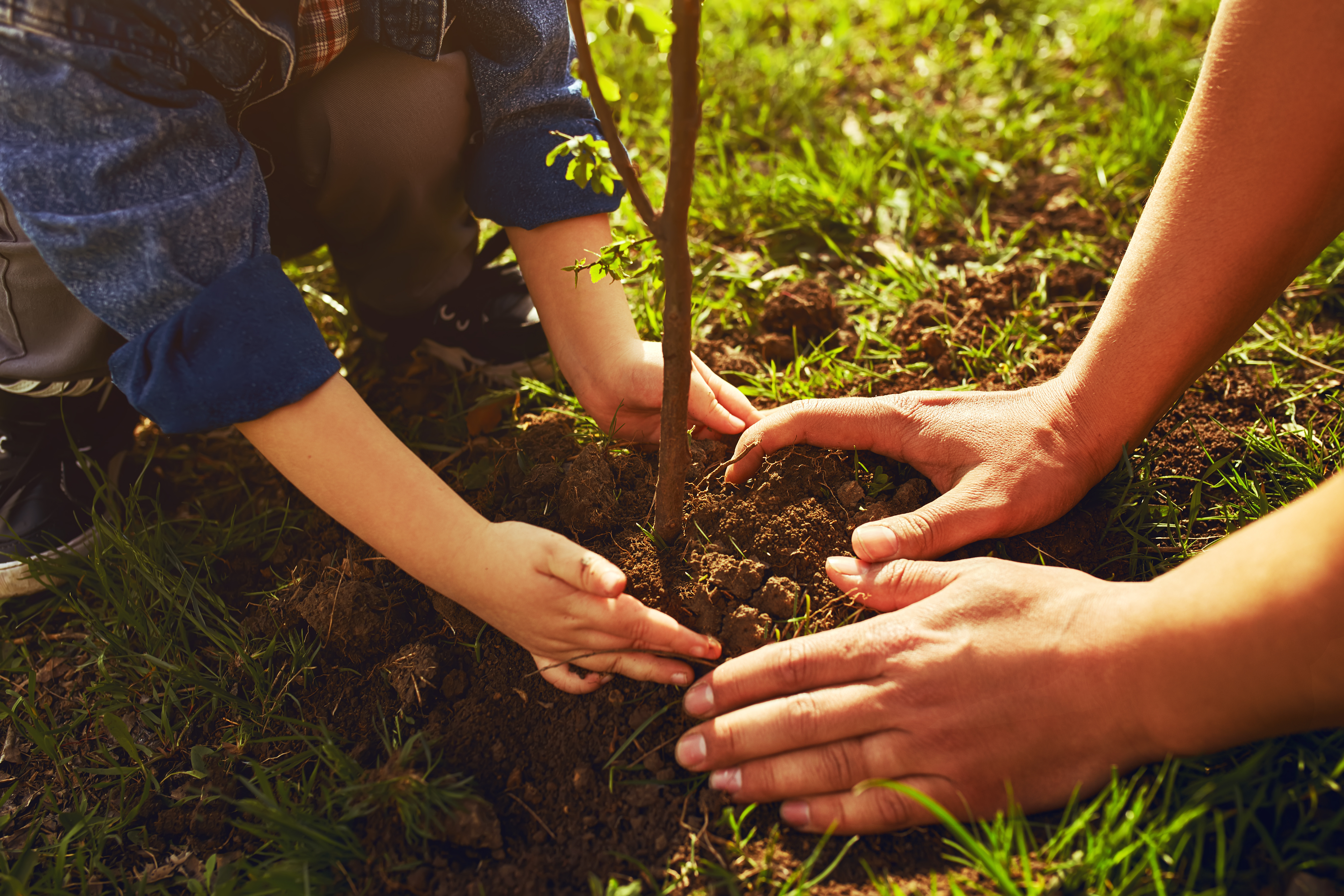 QUIZ: Learn about digging safety and enter to win a $200 Visa gift card!