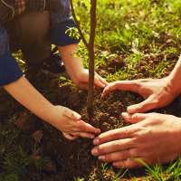 QUIZ: Learn about digging safety and enter to win a $200 Amex gift card